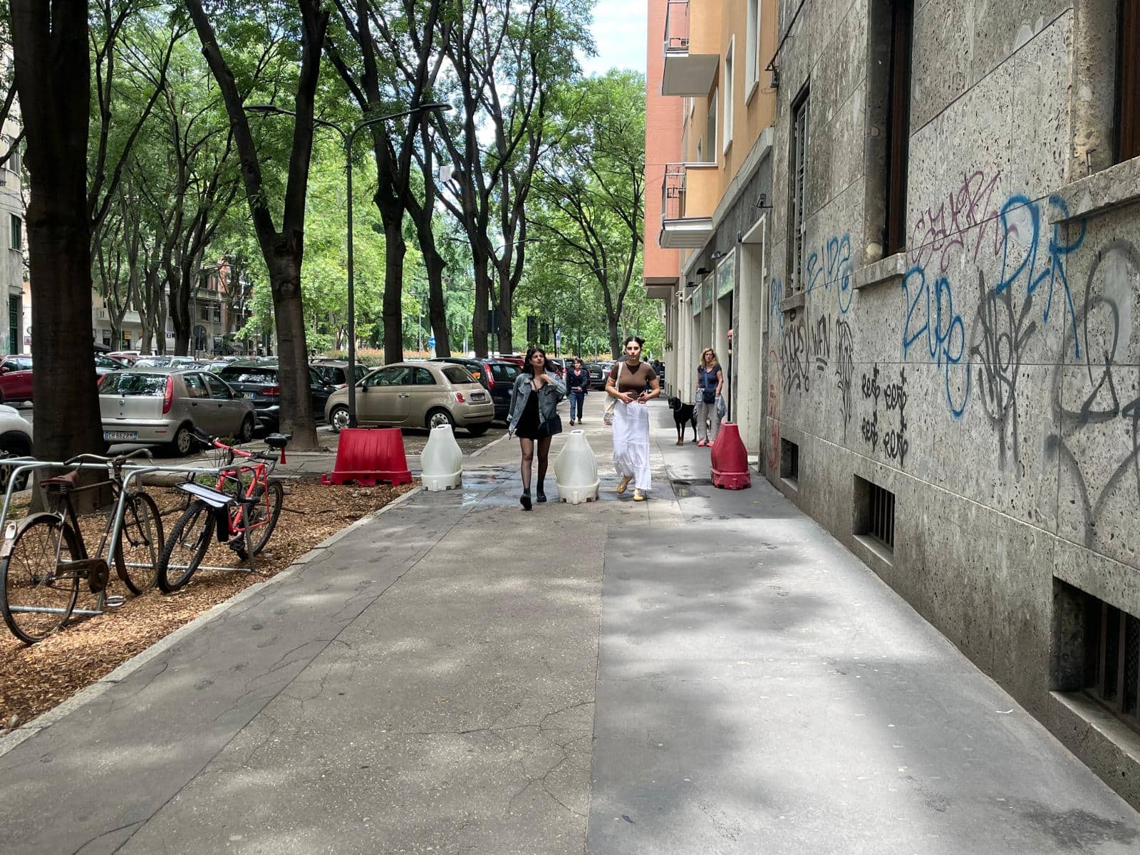 via aselli