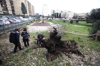 L'albero crollato nel parco Livio Labor a Colli Aniene, a Roma Agenti di Polizia sul luogo in cui una donna è morta, schiacciata da un albero caduto per il forte vento in via Cesare Massimo a Colli Aniene, roma, 23 dicembre 2024. ANSA/ ANGELO CARCONI
