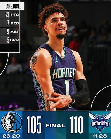 CHARLOTTE HORNETS-DALLAS MAVERICKS 110-105