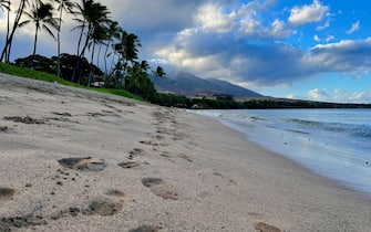 Large puffy clouds hang in a pristine blue sky as ocean waves lap the golden shores of Ka'anapali Beach in Lahaina, Hawaii.