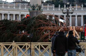 A fir tree from the Piemonte region is erected to serve as a Christmas tree in St. Peter's Square, Vatican,  23 November 2023. A
ANSA/GIUSEPPE LAMI