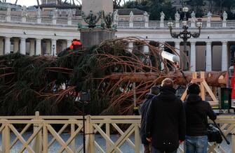 Arrivo albero in Piazza San Pietro