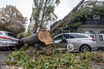 A destroyed car is seen under a tree that fell due to strong winds at the Ru inov estate in Bratislava, Slovakia, on September 15, 2024. One person has drowned in Poland and an Austrian fireman has died responding to floods, authorities said, as Storm Boris lashed central and eastern Europe with torrential rains. Since Thursday, September 12, 2024, swathes of Austria, the Czech Republic, Hungary, Romania and Slovakia have been hit by high winds and unusually fierce rainfall. The storm had already caused the death of five people in Romania, and thousands have been evacuated from their homes across the continent. (Photo by TOMAS BENEDIKOVIC / AFP)