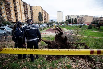 L'albero crollato nel parco Livio Labor a Colli Aniene, a Roma Agenti di Polizia sul luogo in cui una donna è morta, schiacciata da un albero caduto per il forte vento, in via Cesare Massimo a Colli Aniene, Roma, 23 dicembre 2024.
ANSA/ ANGELO CARCONI