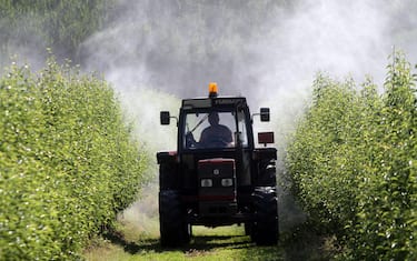 Un trattore sparge insetticidi nei campi della provincia di Modena, 5 giugno 2012.
ANSA / MATTEO BAZZI 
