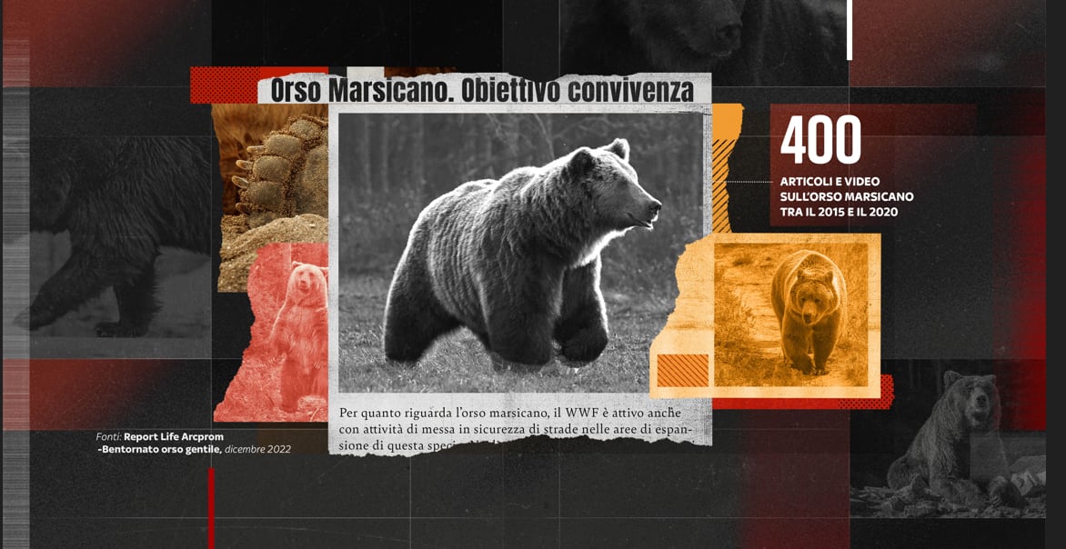orsi