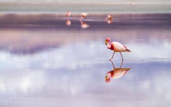 viaggi fenomeni naturali