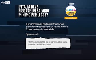 Elezioni programmi partiti salario minimo