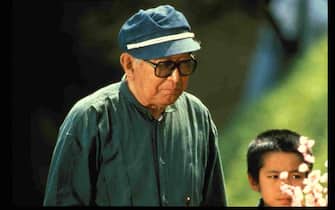 Film e carriera di Kurosawa