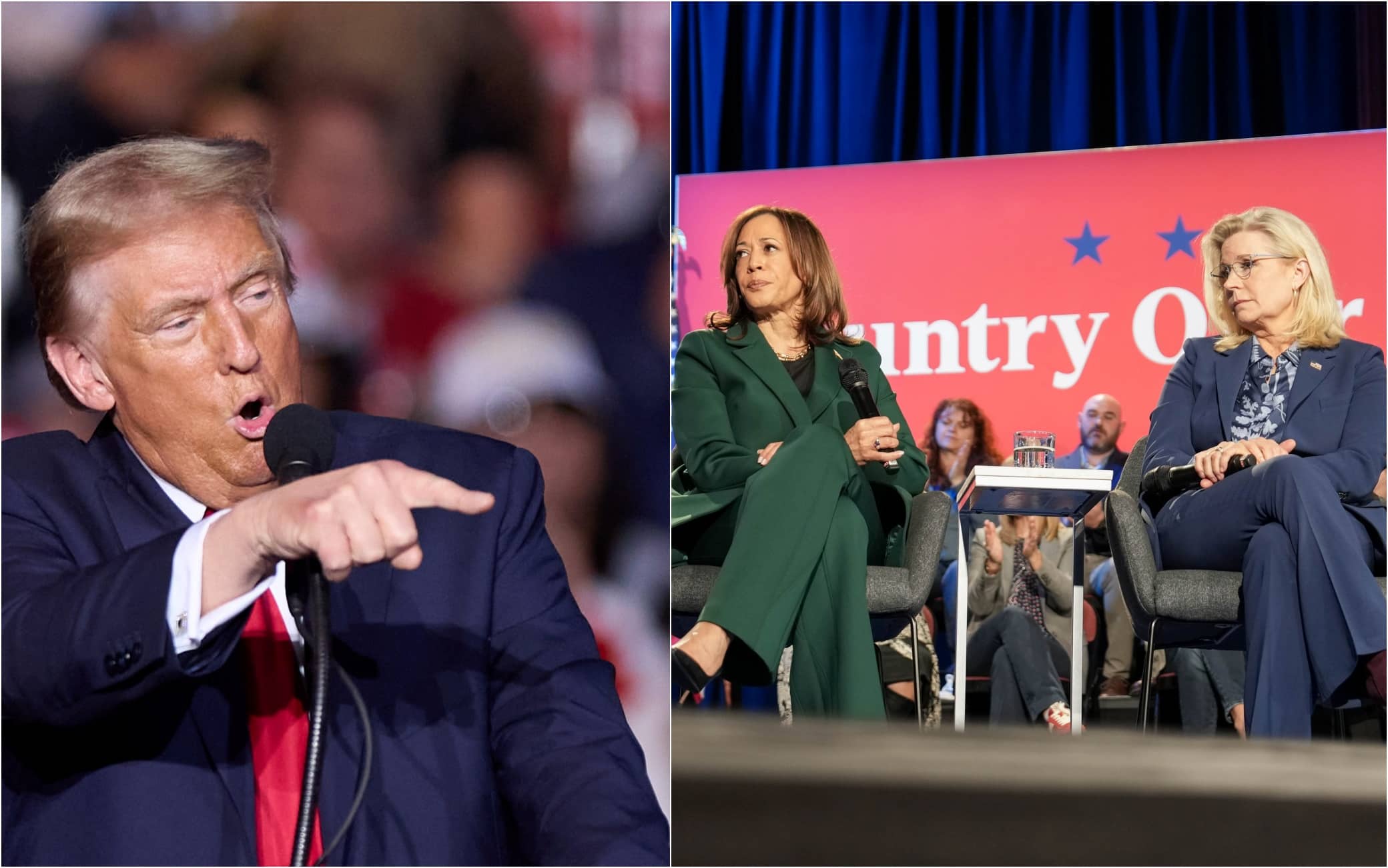 Elezioni Usa, Donald Trump contro Liz Cheney: 'Bisognerebbe spararle' | Sky TG24