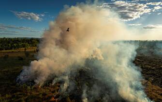 “Salvare le foreste con il fuoco” dell’australiano Matthew Abbott
