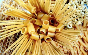 Vari tipi di pasta in un'immagine d'archivio.   ANSA / CIRO FUSCO