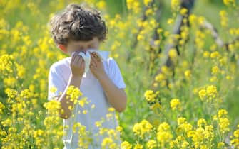 Milano - Allergia e asma in aumento tra i bambini