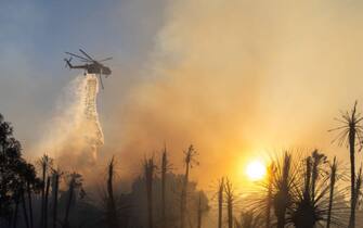 Incendio california