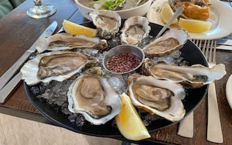 Plate of fresh oysters in Colmans Seafood Temple restaurant, Sea Road, South Shields, Tyne and Wear, England, United Kingdom