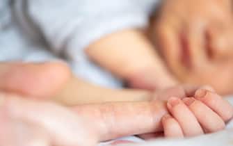 close-up view of newborn baby boy holding finger of parent