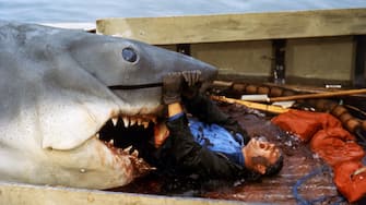 British actor Robert Shaw on the set of Jaws, directed by Steven Spielberg. (Photo by Sunset Boulevard/Corbis via Getty Images)