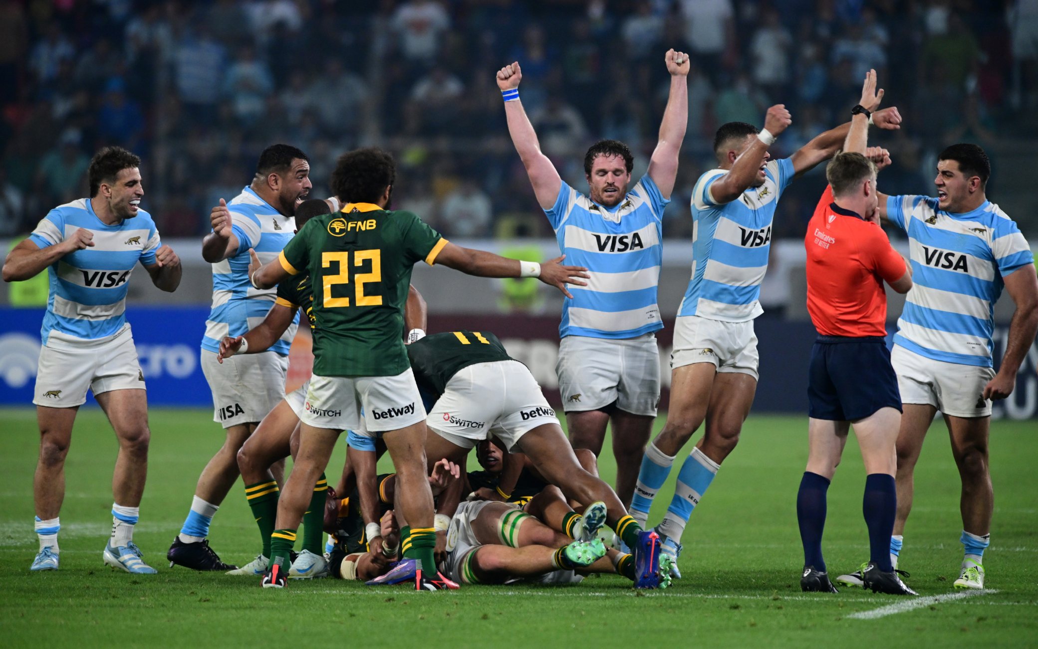 Argentina-Sudafrica 29-28: highlights