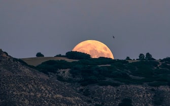 epa10779013 View of the 'Super Sturgeon Moon' from Alcala de Henares, Madrid, Spain, 31 July 2023.  EPA/Fernando Villar