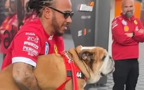 https://static.sky.it/editorialimages/60909d99d72e35181b3d5103109b36ba8ee7b424/skysport/it/motori/formula-1/video/2025/07/05/f1-silverstone-hamilton-roscoe-bulldog-video/f1_video_hamilton_roscoe_ferrari_silverstone.jpg?im=Resize,width=565