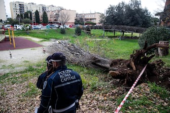L'albero crollato nel parco Livio Labor a Colli Aniene, a Roma Agenti di Polizia sul luogo in cui una donna è morta, schiacciata da un albero caduto per il forte vento, in via Cesare Massimo a Colli Aniene, Roma, 23 dicembre 2024.
ANSA/ ANGELO CARCONI