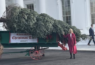 Jill Biden ha accolto l'arrivo dell'albero di Natale che decoderà la Casa Bianca