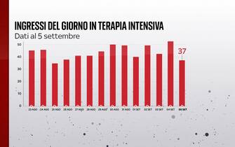 Grafiche coronavirus: gli ingressi del giorno in terapia intensiva