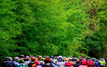 La fine della "Campagna del Nord" e del "Trittico delle Ardenne"