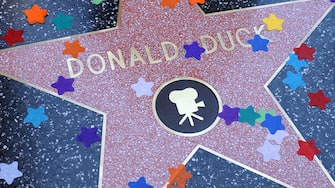 LOS ANGELES, CA - AUGUST 09: Star of Donald Duck on the Hollywood Walk of Fame is seen on August 09, 2004 in Los Angeles, California.  (Photo by Axelle/Bauer-Griffin/GC Images)