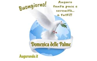 auguri domenica delle palme