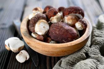 funghi