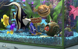 alla ricerca di nemo film