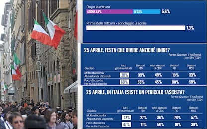 Sondaggio, Terzo Polo diviso perde voti. 25 Aprile unisce gli italiani