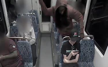 Chi era Iryna Zarutska