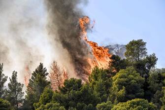 A photo shows flames burning vegetation during a wildfire near Prodromos, 100km northeast from Athens, on August 21, 2023. (Photo by Spyros BAKALIS / AFP)