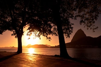 Silhouettes of Trees and Sugarloaf Mountain in Rio de Janeiro during Beautiful Sunrise.