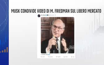 Musk video Friedman