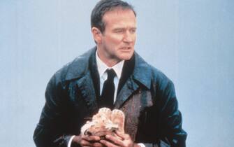 Robin Williams nel film Al di là dei sogni