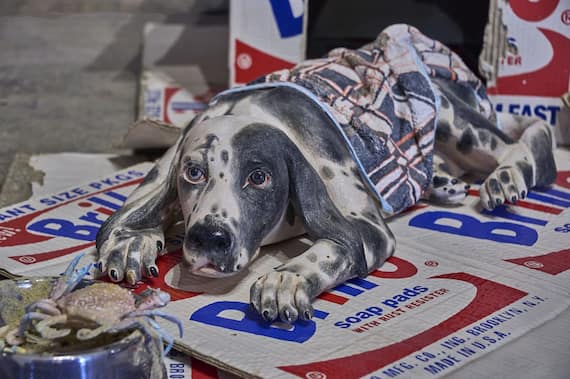 Bertozzi & Casoni, Cuccia brillo con setter inglese, 2018. Dettaglio dell’allestimento ph Carlo Casella