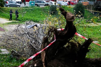 L'albero crollato nel parco Livio Labor a Colli Aniene, a Roma Agenti di Polizia sul luogo in cui una donna è morta, schiacciata da un albero caduto per il forte vento, in via Cesare Massimo a Colli Aniene, Roma, 23 dicembre 2024. ANSA/ ANGELO CARCONI