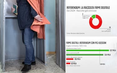 Firme digitali, quali sono stati i referendum che hanno ottenuto più adesioni?