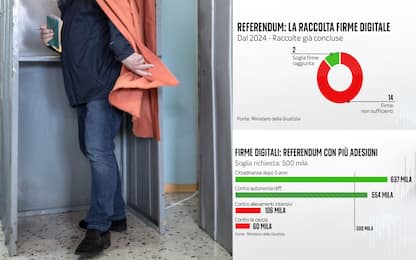 Firme digitali, quali sono stati i referendum che hanno ottenuto più adesioni?