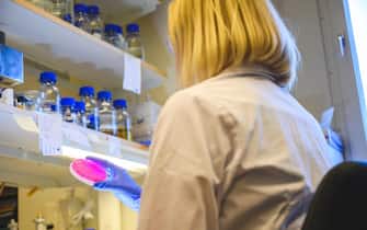 European woman scientist closely looking at the agar plate for bacterial culture growth by holding in a hand for medicinal chemistry research in a lab