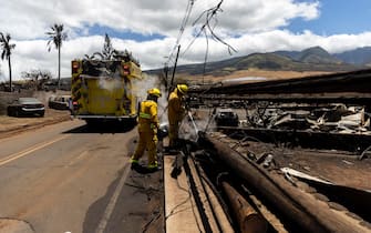 incendi hawaii