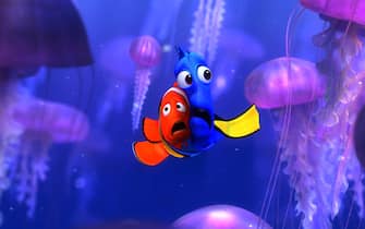 alla ricerca di nemo film