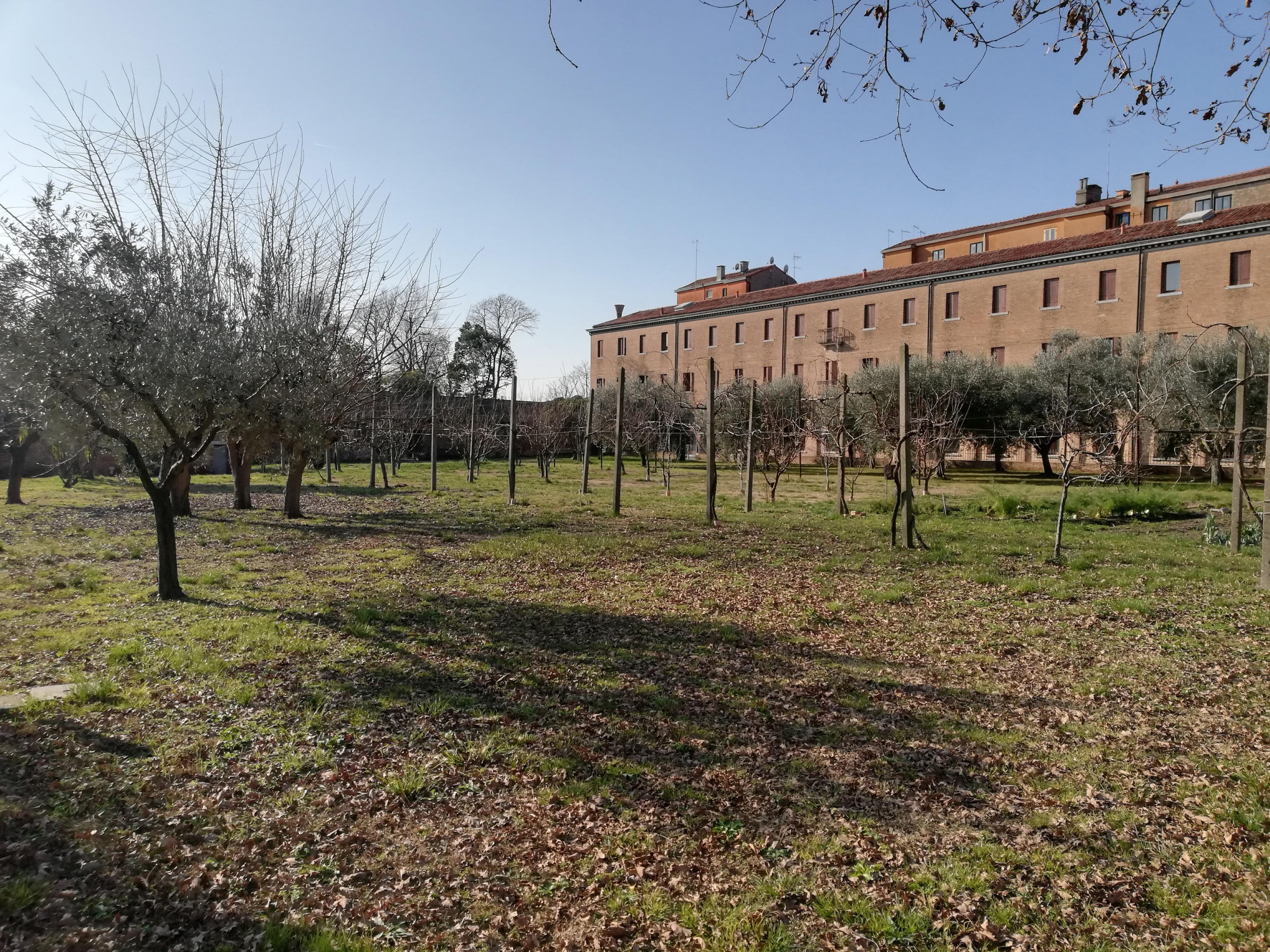 Prende il via il 30 gennaio, con l'opera per l'escavo di un pozzo, il restauro dell'area del Giardino del Convento della Chiesa del Redentore, all'isola della Giudecca, a Venezia. Un progetto, denominato "In Venetia Hortus Redemptoris", promosso da Venice Gardens Foundation, condiviso con l'Ordine dei Frati Minori Cappuccini e alla Santa sede. L'intervento, della durata di circa due anni, con un costo di 5,5 milioni di euro - in parte provenienti dai fondi per il Pnrr (2 milioni) e da un sostegno di privati - prevede il recupero del Compendio del Giardino, situato dietro la chiesa eretta a fine '500, su disegno di Andrea Palladio, come ringraziamento per la fine della peste, Venezia, 29 gennaio 2023.
ANSA/Roberto Nardi