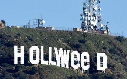 Los Angeles, l'autore di “Hollyweed” si è costituito