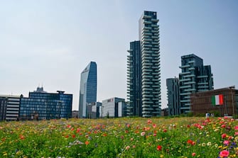 1214552296