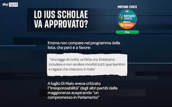Elezioni programmi partiti ius scholae