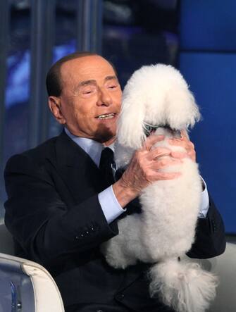 ROME, ITALY - JUNE 21: Italian former prime minister and leader of 'Forza Italia' party Silvio Berlusconi plays with a dog during the recording of Rai TV program 'Porta a porta' on June 21, 2017 in Rome, Italy.  PHOTOGRAPH BY Marco Ravagli / (Photo credit should read Marco Ravagli/Future Publishing via Getty Images)